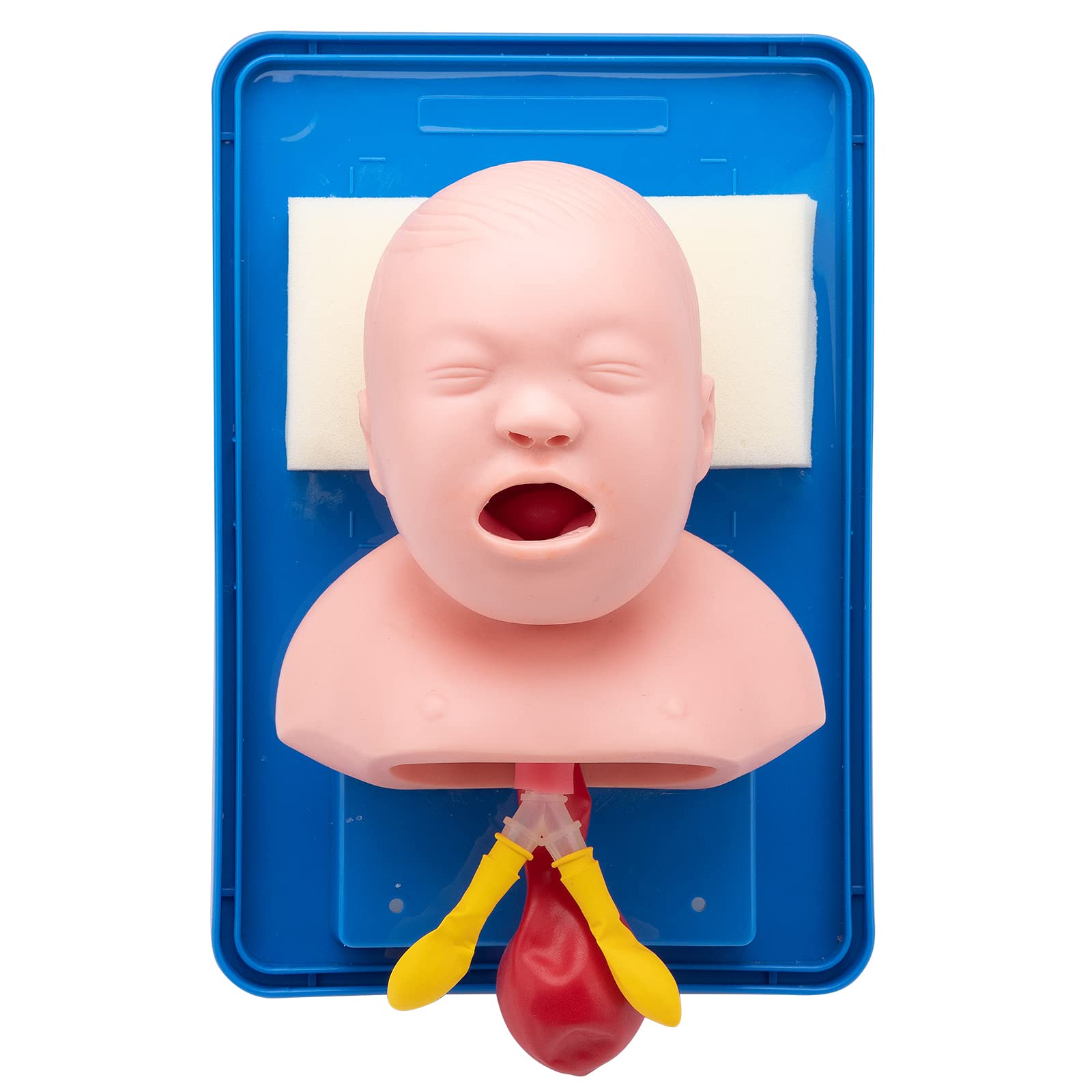 Newborn Injection Site Manikins