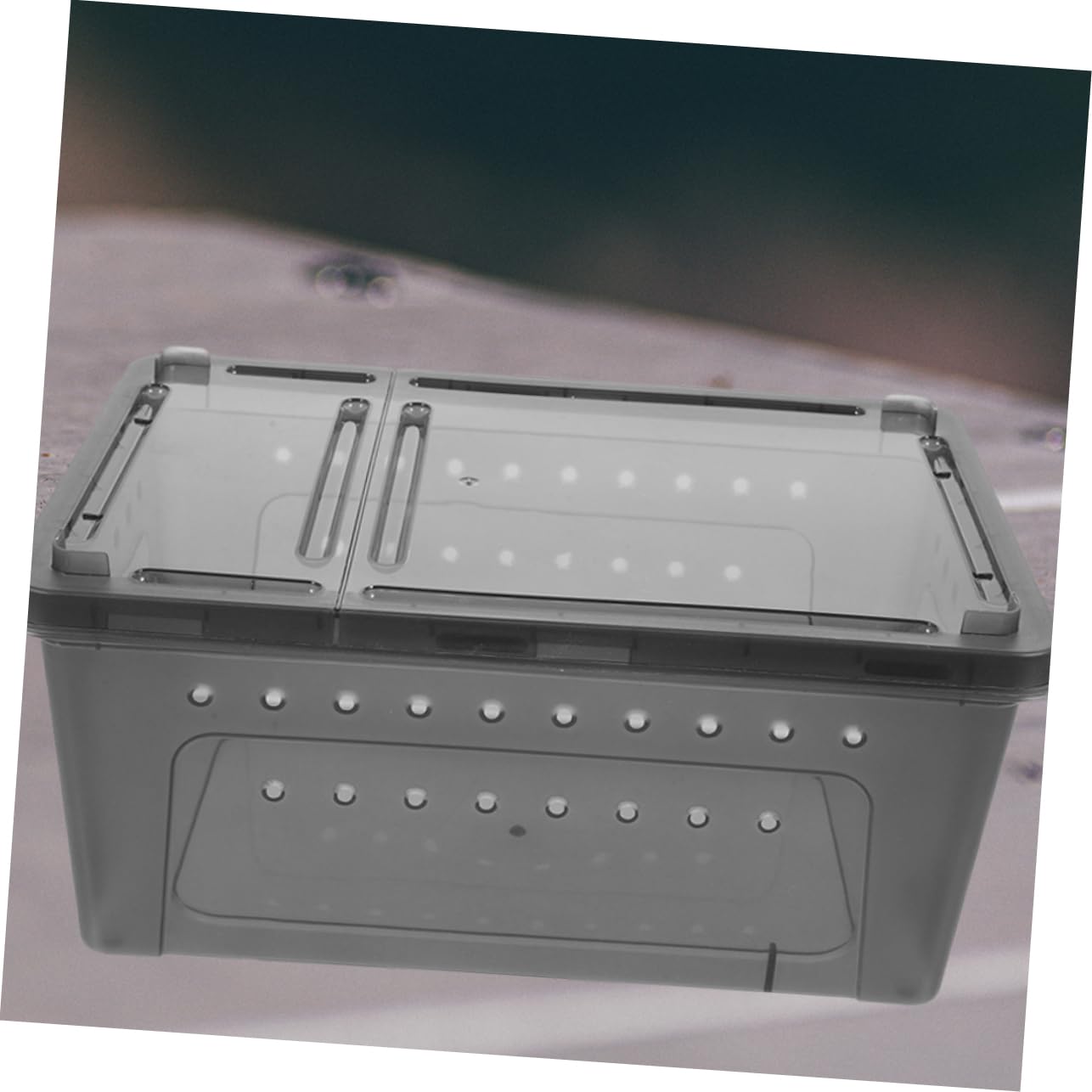 INOOMP 3 Set di Scatole di Riproduzione per Lucertole Accessori per Rettili Scatola di Alimentazione per Rettili Terrario per Ragni Terrario per Lumache 2 Pezzi * 3