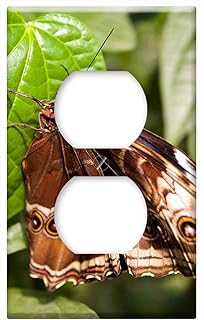 Switch Plate Outlet Cover - Animals Butterfly Tropics Jungle