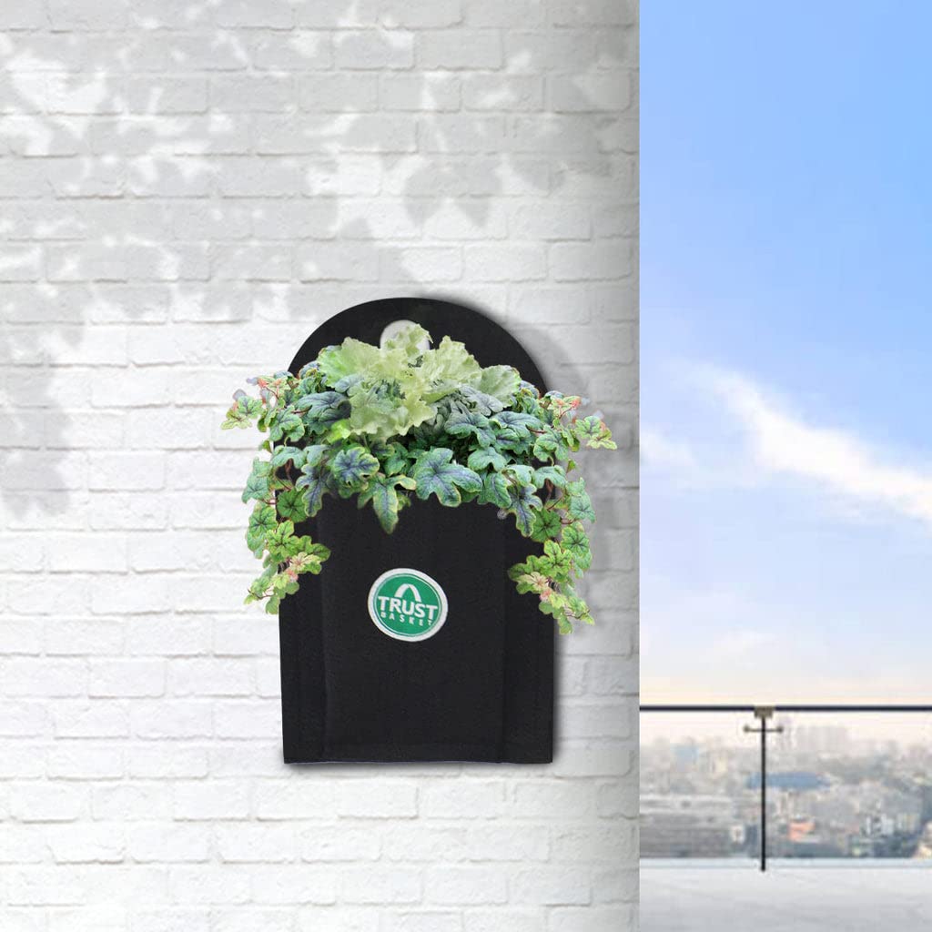 TrustBasket Glory Wall Mounting Hanging Textile Felt Fabric Vertical Pouch Gardening Grow Bag for Balcony & Terrace Gardening Pant Container - (Set of 5) (B09TR27STQ) Amazon Price History, Amazon Price Tracker