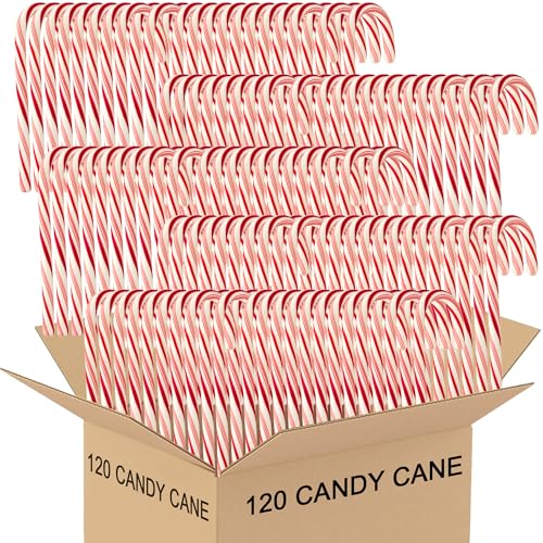 Candy Cane Peppermint Classic Red & White - Individually Wrapped (120 Count, Peppermint)