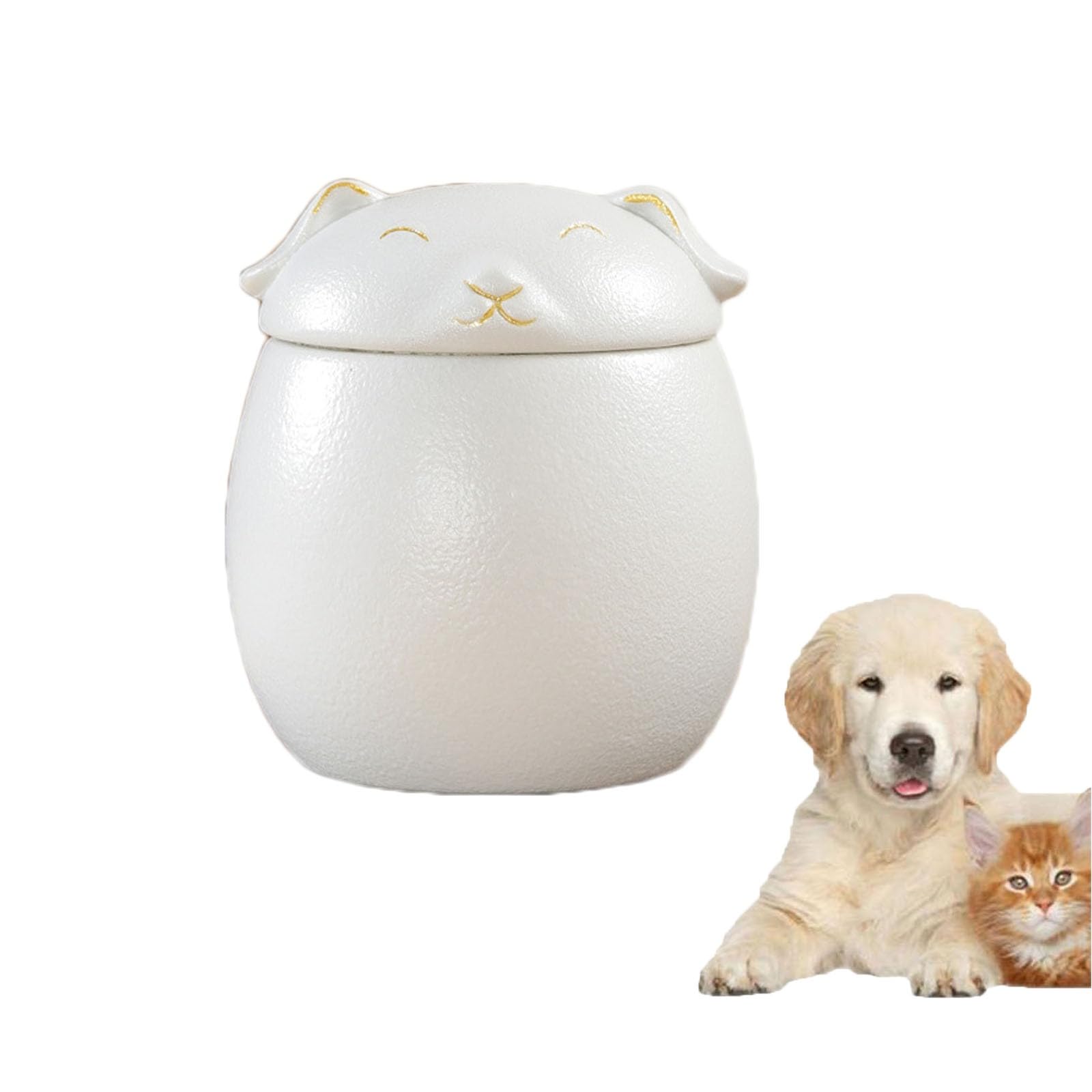 BOGAZY Bella Urna Souvenir Urna In Ceramica A Forma Di Gatto Urne For