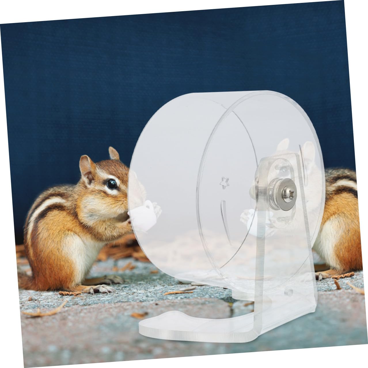 Hemobllo Roue Exercice Hamster Silencieuse Transparente Roue Course Petits Animaux avec Support Surface Large Confortable pour Gerbilles Chinchillas et Souris Mécanisme Ultra-Silencieux