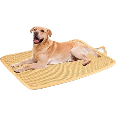 kong crate pad amazon