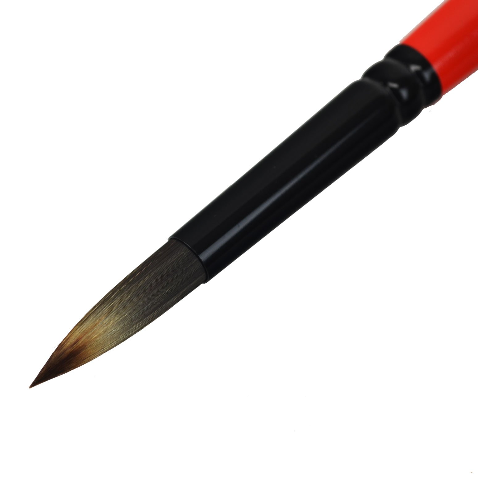 Amazon | アルテージュ 画筆 キャムロンプロ 620 10号 164410 | 絵具 通販