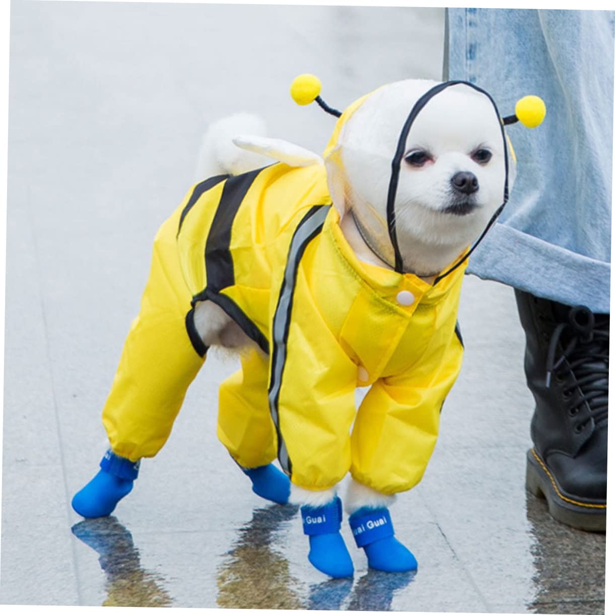 Angoily 3pièces Manteau De Pluie Étanche pour Chien Abeille Veste Élégante Et Respirante avec Capuche pour Chiens De Moyenne Et Petite Idéale pour Jours Pluvieux