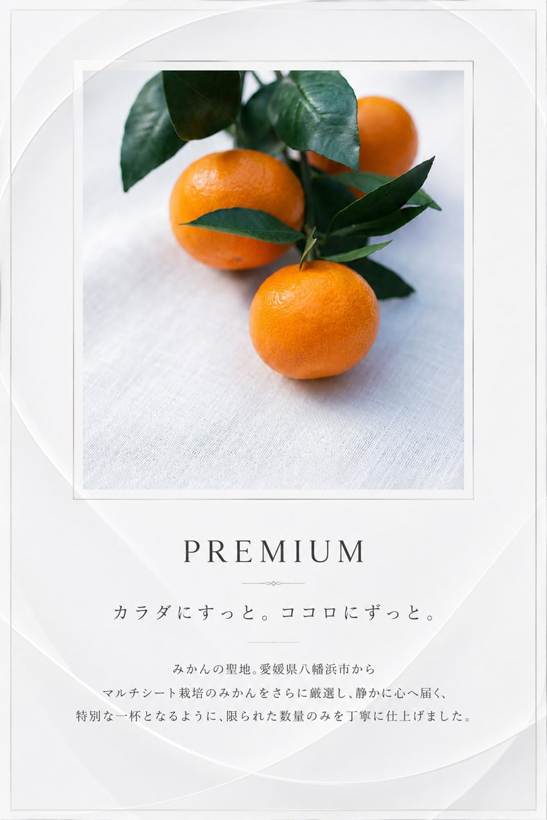 Amazon.co.jp: ぷらと果樹園 MIKAN10ce 100％ストレートジュース 720ml