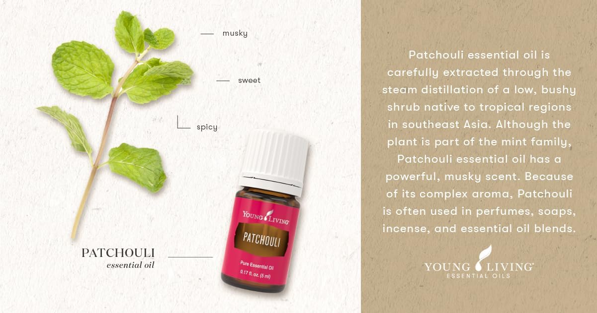 Young Living Patchouli's Essential Oil 5 ml - Rich Aromatherapy with Young Living, Uplift Mind and Spirit, Natural Aroma of Tranquility, Elevate Your Senses, Promotes Feelings of Calm and Peace