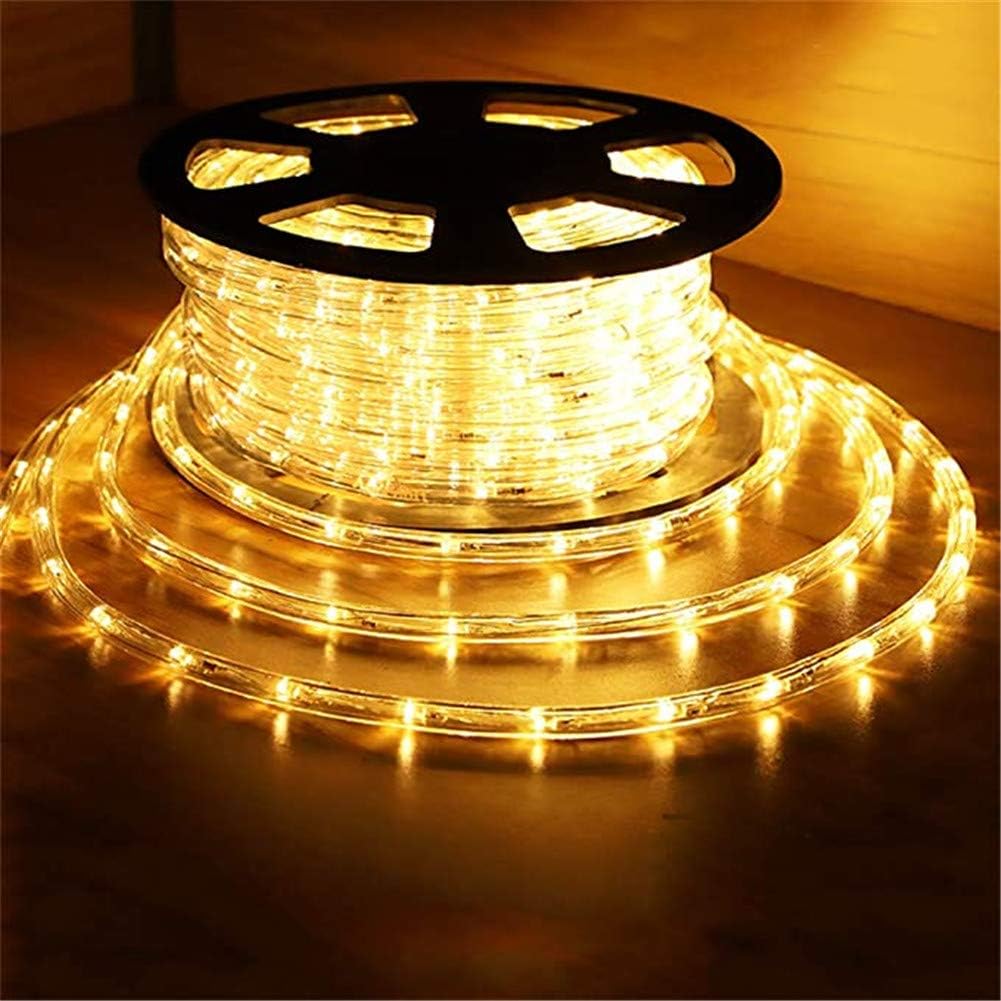 (New) 100FT Rope Lights Outdoor, 720 LED Waterproof Rope Lights, LED Connectable Flexible Tube Lights for Indoor Outdoor Deck, Pool, Landscape, Background, Trees, Bridges, Eaves Decoration(Warm White)