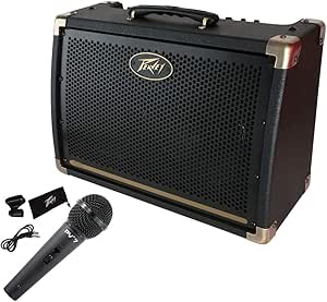 Amazon.com: PEAVEY E208 Speaker with Microphone, for Karaoke ...