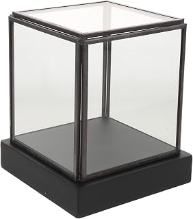GLEAVI Xmas Glass Display Case with Black Base, Square Cube Display