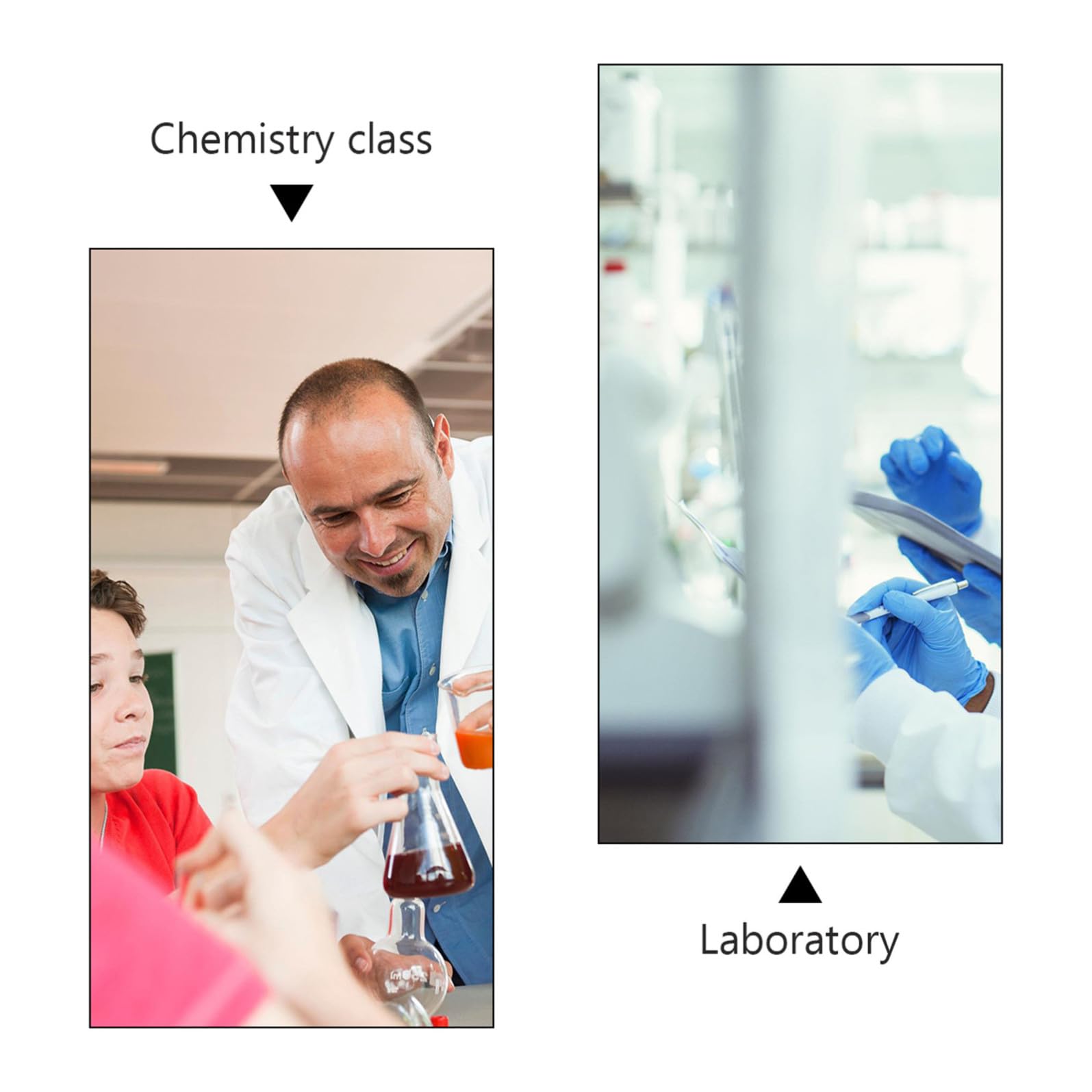 SOLUSTRE 6pièces Support De Tube à Essai Transparent Pour Scolaire Rack Professionnel à Compartiments Pour Expériences Scientifiques