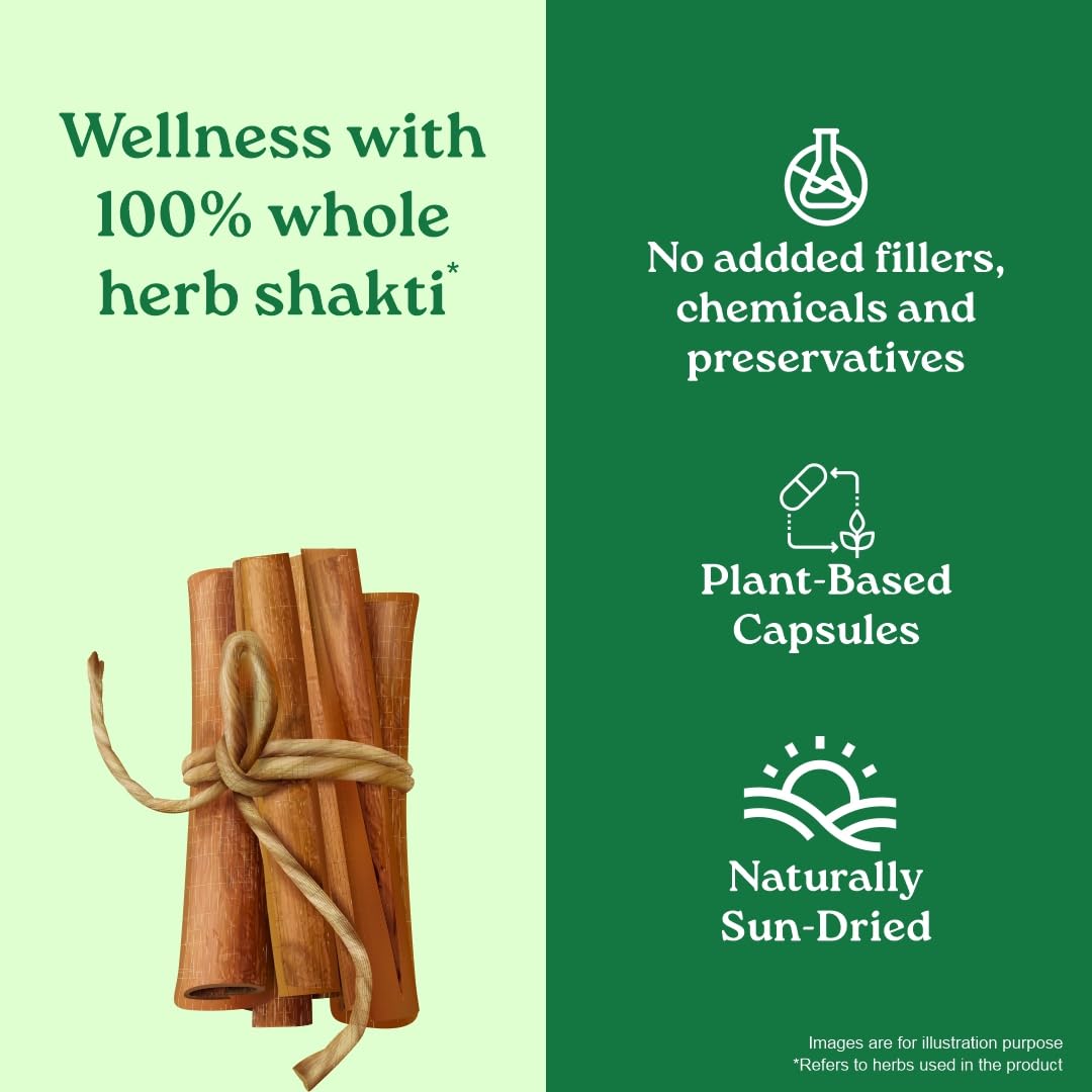A TATA Product - Organic India Cinnamon - 60 Veg Capsules product image 3