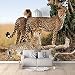 NVRBTF wandtapete selbstklebend 3d wohnzimmer schlafzimmer küche fototapete groß wandaufkleber tierischer Gepard 200x150cm Poster tapete TV Hintergrund Wandposter Moderne wanddeko