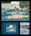 Produktbild Explore the River Educational Project (2-Book, 1-DVD Set): Bull Trout, Tribal People, and the Jocko River