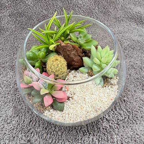 񂹐AKX{[SSa10cm[JtȑÅ񂹐A Y璼]