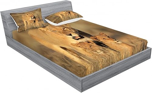 Miniatura 218 de Ambesonne Juego de sábanas bajeras y fundas de almohada con diseño de gato durmiendo en luna creciente, estrellas, sueños nocturnos, juego de ropa