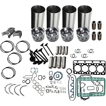 Overhaul Rebuild SD20 Kit for Nissan SD22 SD-22 Engine Construction Machinery