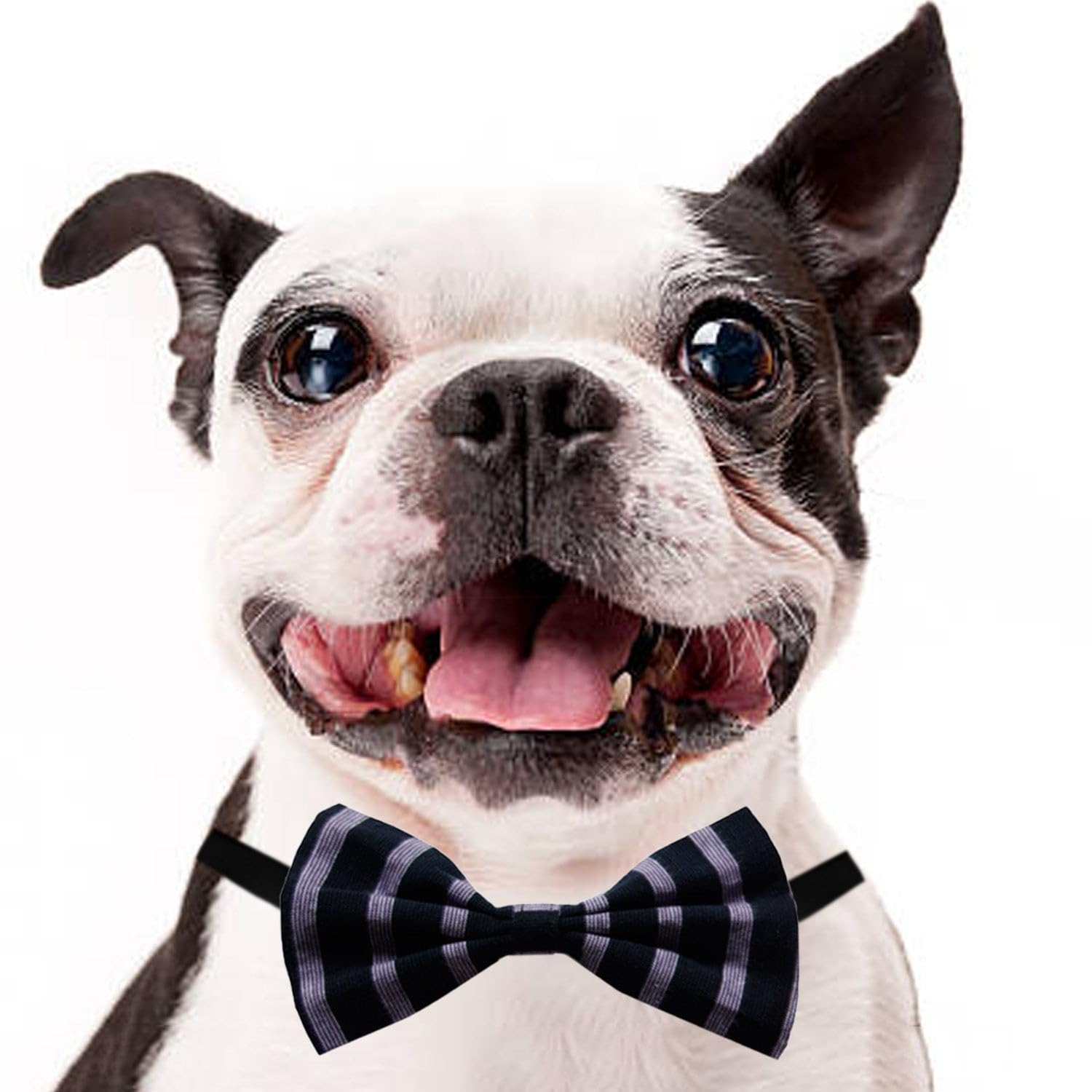 Funketti Pet Dog and Cat Bow Tie Black Mustard Striper Easy to Use Anti Chafing Elastic Strap Gift for Pets Dogs & Cats Scarf Tie/L-XL (B0C822X1D2) Amazon Price History, Amazon Price Tracker