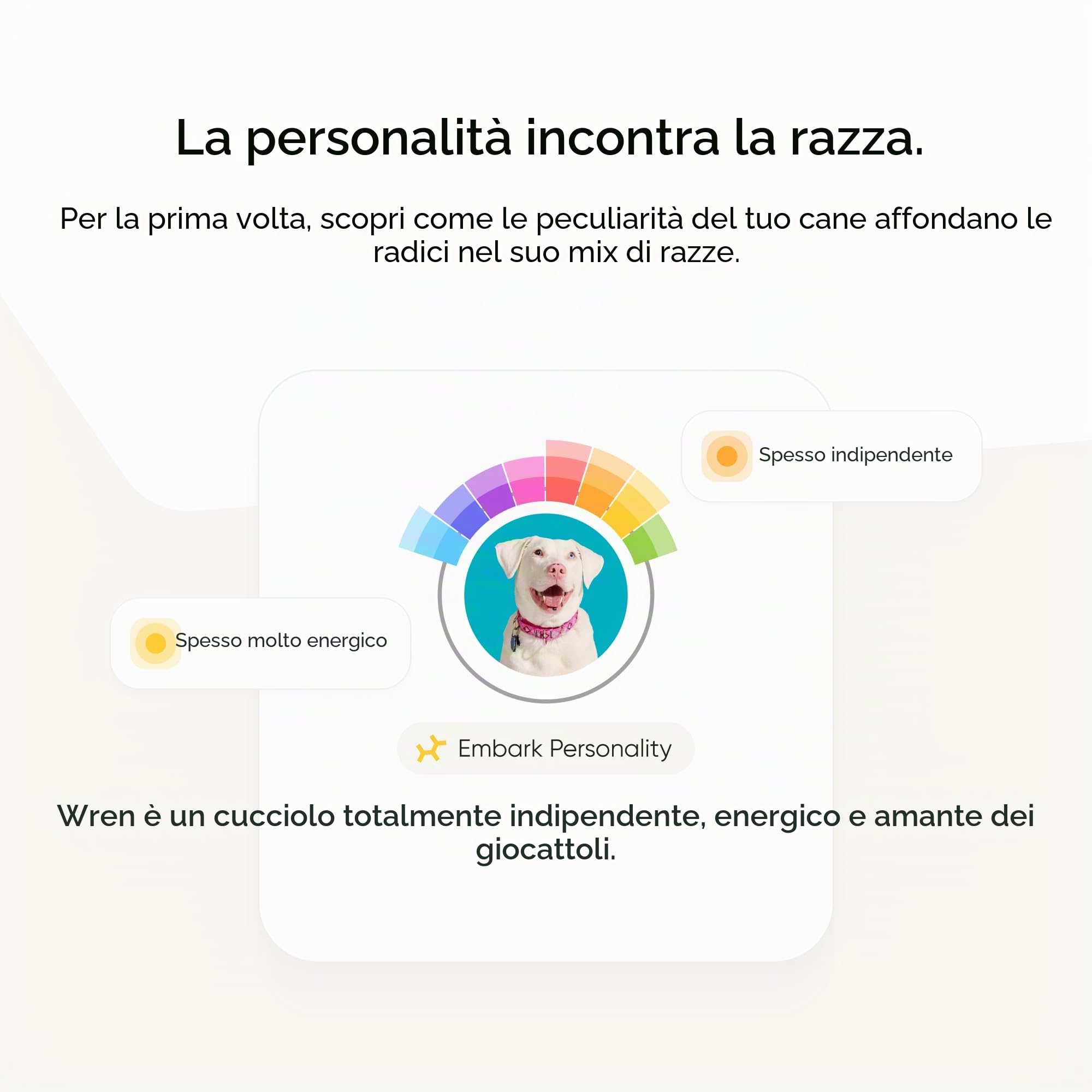 Embark - Test del DNA per cane, kit di identificazione della razza