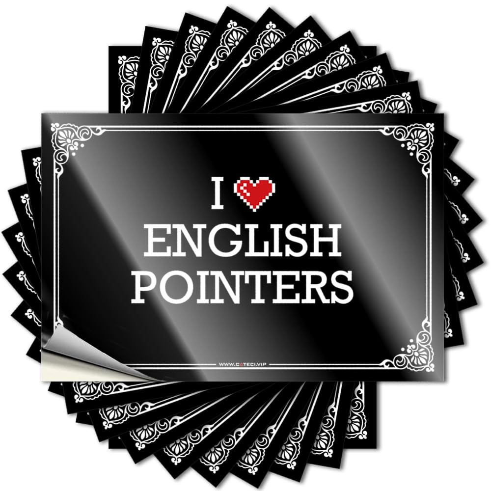 Decal Guys Billiards Smiley Face Bumper I Love English Pointers - Scratch Resistant Stickers(8X12CM)