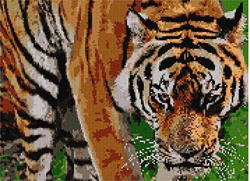 Pepita Needlepoint kit: Tiger Too Close, 14" x 10"