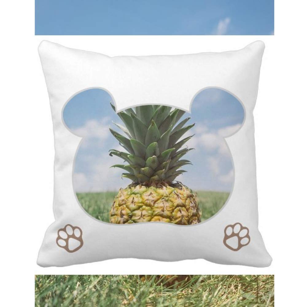 Housse de coussin ananas et fruits tropicaux pour decorer votre salon