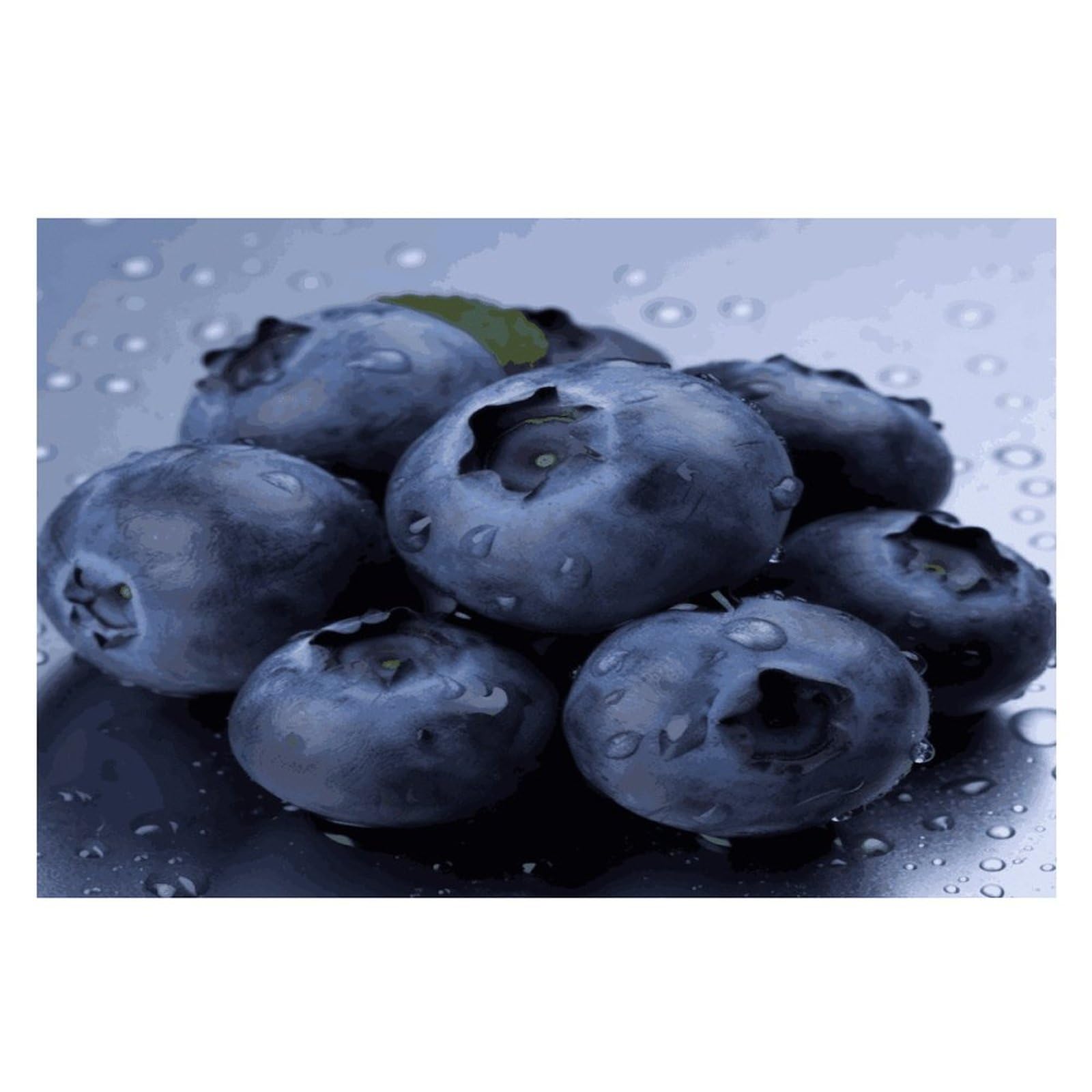 Blueberry Placemats Wipeable Heat Resistant Table Mats Washable Flax Place Mats Elegant Cloth Non-Slip Placemat for Kitchen Dinning Party Table Decor 12 * 18 in