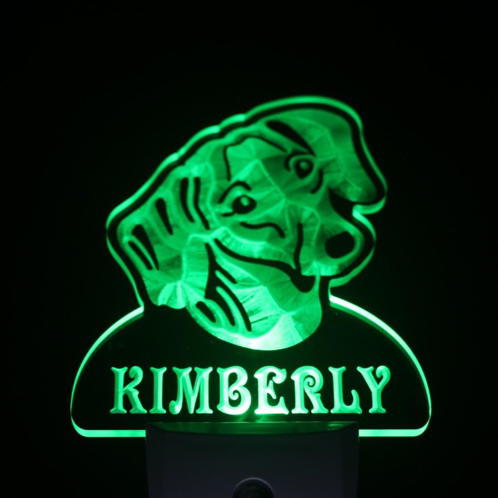 ADVPRO ws1065-tm Dachshund Dog Personalized Night Light Name Day/Night Sensor LED Sign
