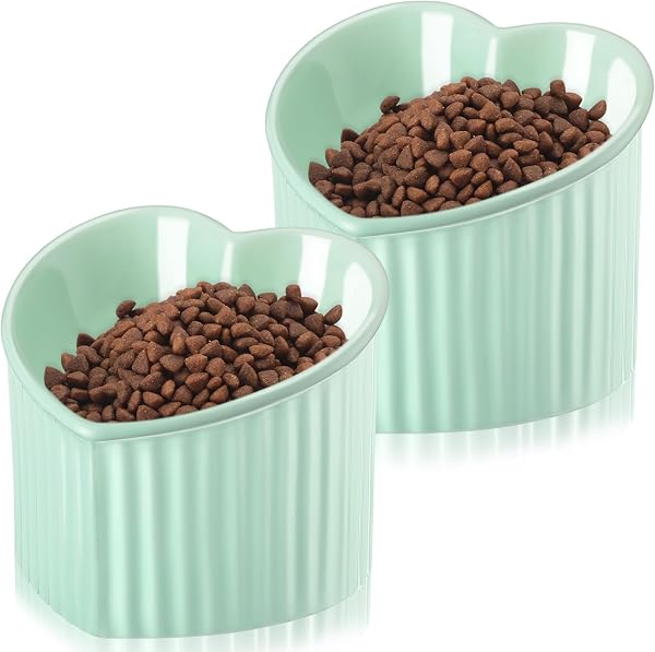Mumufy 2 Pcs Ceramic Elevated Cat Bowls Tilted Elevated Raised Pet Bowls Anti Vomit Cat Dish for Indoor Stress Free Wate