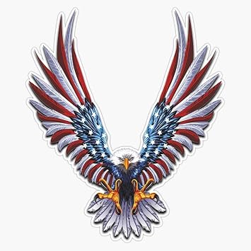 Usa Flag Bald Eagle American Flag Vinyl Decal Wall Laptop Bumper Sticker 5 Inch , RDB-USA-STICKERS-1826