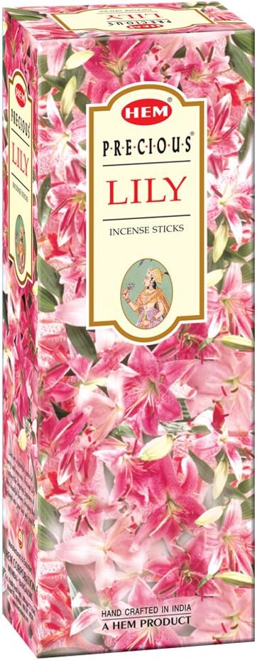 HEM Divine Healing Incense - Box Of Six 20 Gram Tubes With Approximately 20 Sticks Each