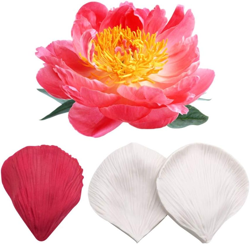 AK ART KITCHENWARE Gumpaste Flower Making Tools Peony Petal Veiners Silicone Veining Molds Fondant Tools Cake Decorating Supplies (VM057)