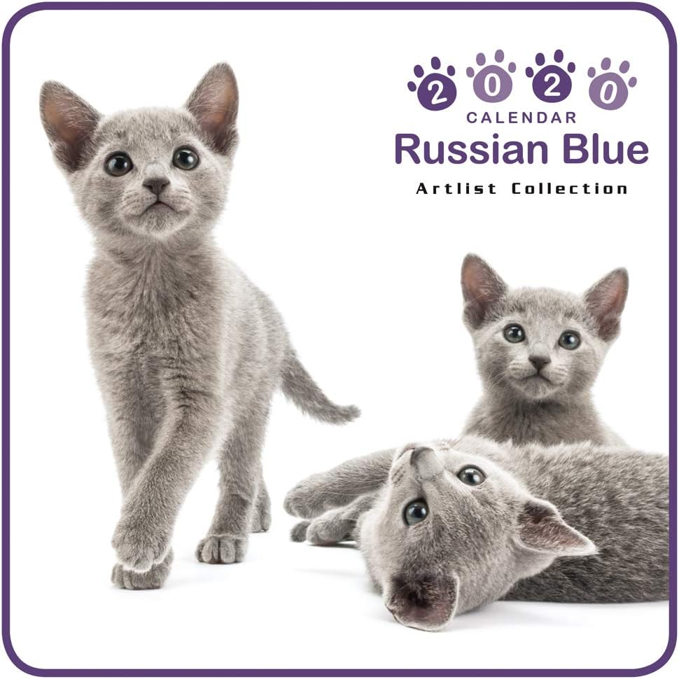 Amazon カレンダー ミニサイズ 壁掛け ロシアン ブルー ミニ ノーマルレンズシリーズ 19年9月 年12月 アーリスト 猫 ねこ ねこ カレンダー 文房具 オフィス用品