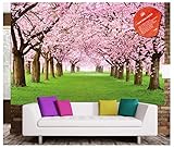Verwendung: Ideal als Hintergrund bzw. Backdrop. Dekorieren Sie Ihr Wohnzimmer, Schlafzimmer, Esszimmer, Büro, Küche oder Ihren Flur (auch als Deko für Wartezimmer geeignet). Kindermotive Ideal fürs Spiel- und Wickelzimmer bzw. Ecke oder im Kindergarten. Ideal als Geschenk für Freunde, Familie, Kollegen oder für ihr Kind.