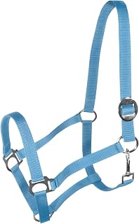 York Harmony - Cabestro de Nailon Ajustable Mediante Hebilla Deslizante, Color Azul Claro