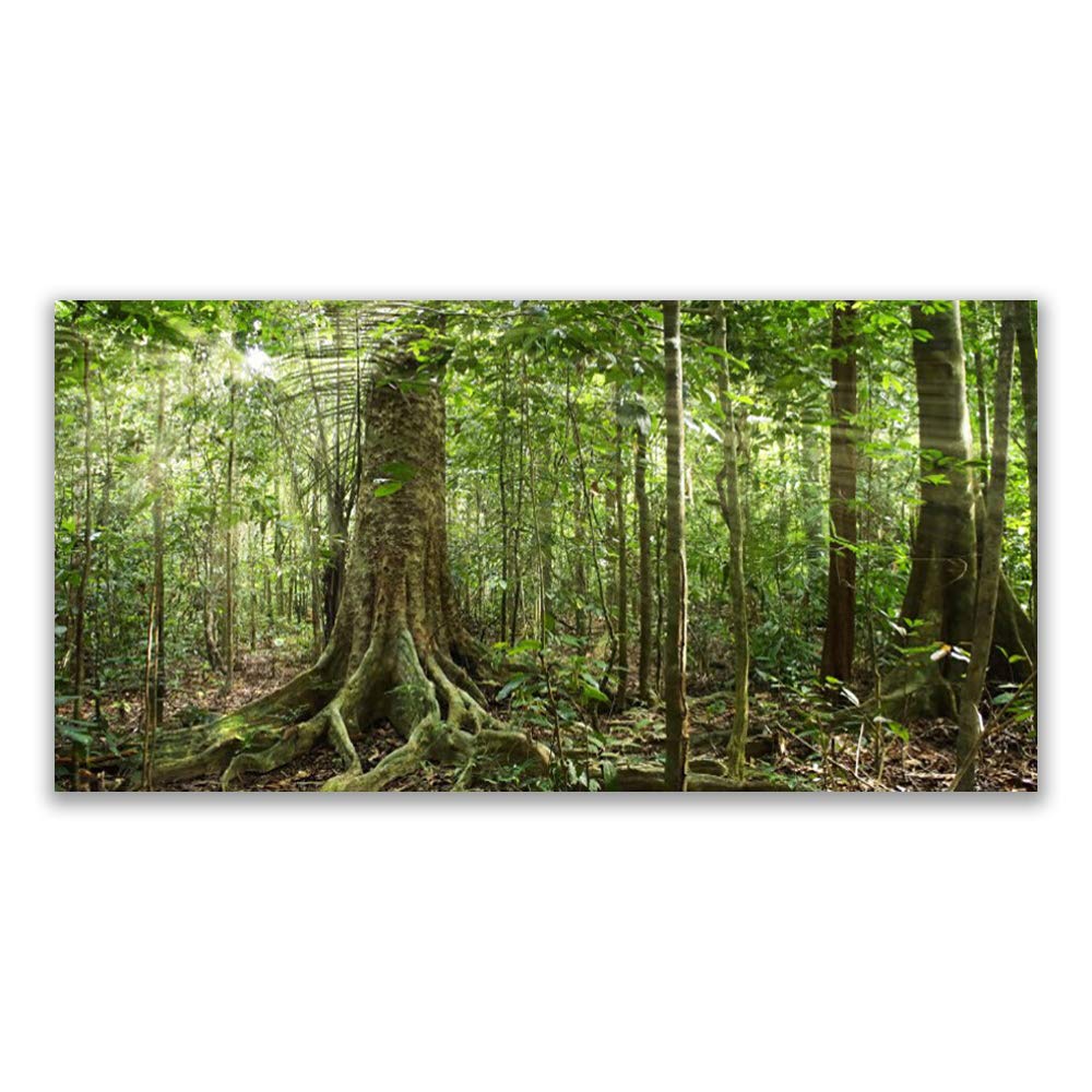 Tableau Déco Mural Moderne Design Forêt | Impression Verre Trempé 140x70