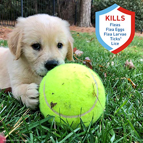 Adams Plus Flea & Tick Foaming Shampoo & Wash for Dogs & Puppies Over