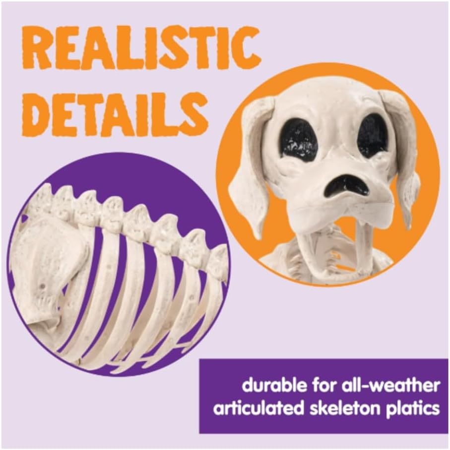 9.8 Inch Skeleton Dog, 1 Piece – Plastic