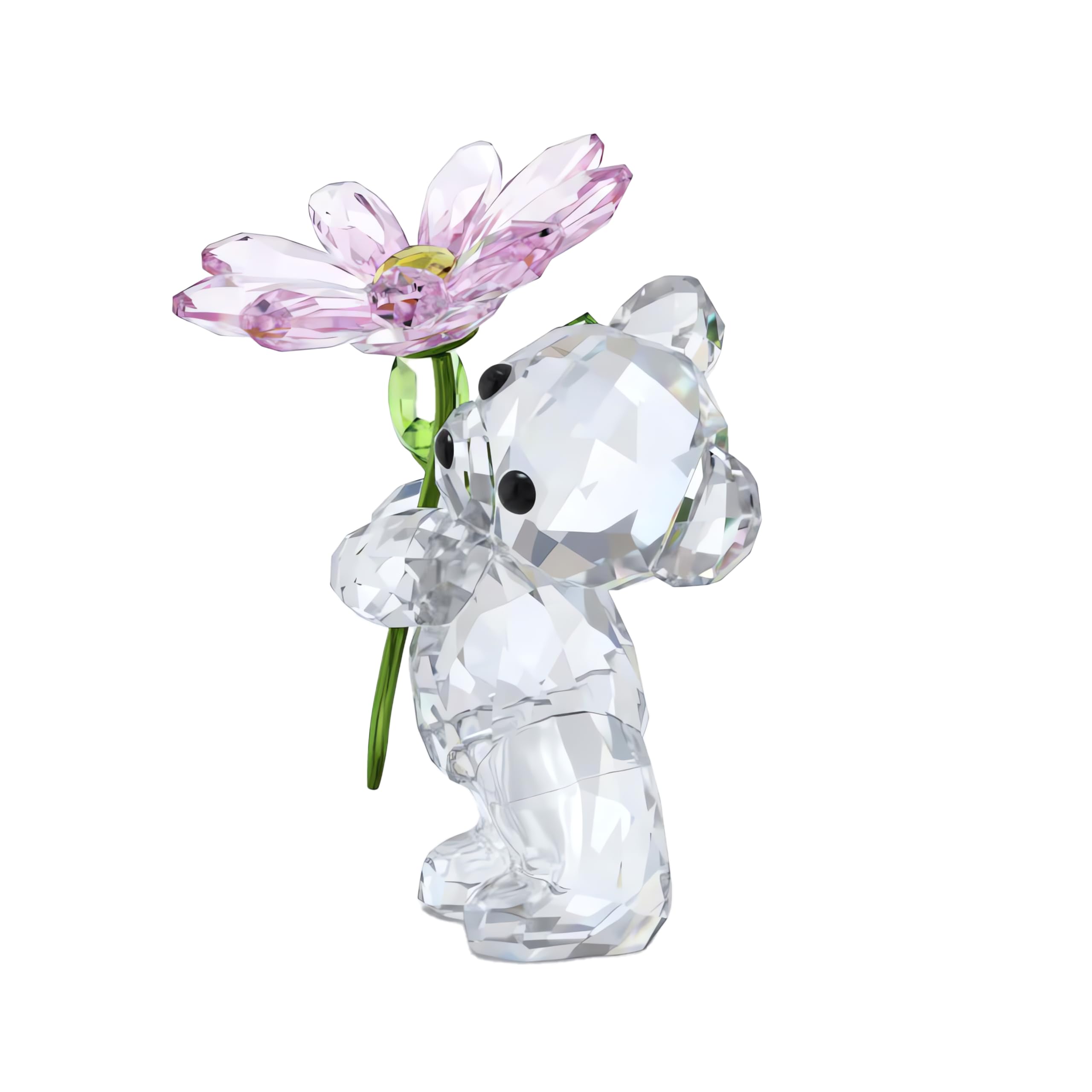 Amazon.com: Swarovski Kris Bear A Daisy for You : Home & Kitchen