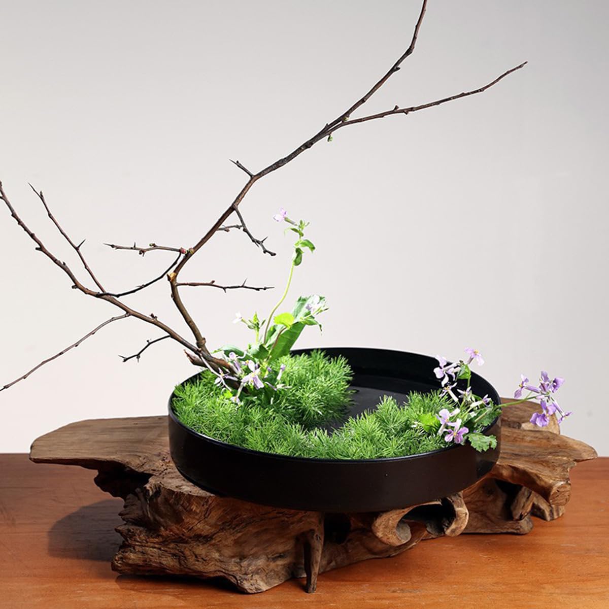 Amazon.co.jp: プラスチック 生け花用 いけばな道具 花器 水盤 花盤 丸