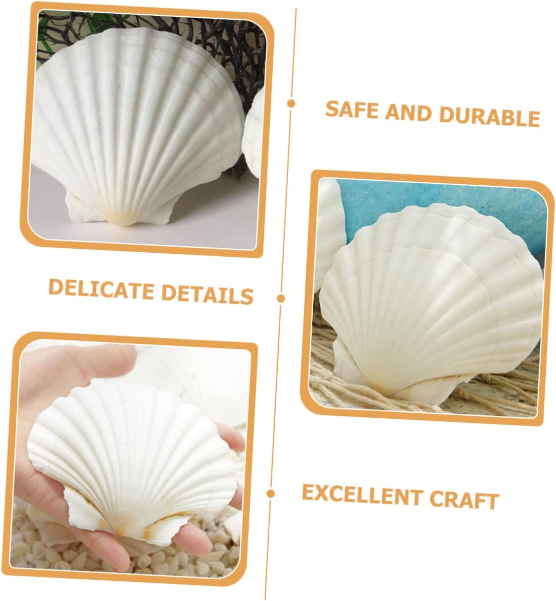 COLLBATH 12pcs Natural Seashell Plates for Barbecue Baking and Serving