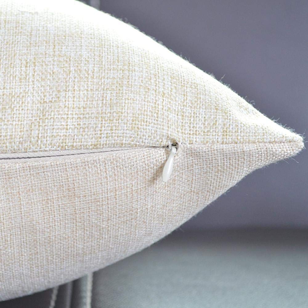 Cuscini per Divano 60x60cm Pesce Oceano 4 Pack Federa per Cuscini,Copri Cuscini per Divano in Cotone e Lino Moderni Quadrate Federa per Cuscino Divano Auto Soggiorno Camera da Letto Home Decor 24x24in