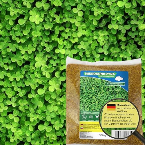 Mikroklee - Weißklee Trifolium repens 500g - Rasenklee bereichert den Rasen - Klee Samen zur Anlockung von Bienen -Saatgut für gleichmäßige, dichte Grasnarbe das ganze Jahr über