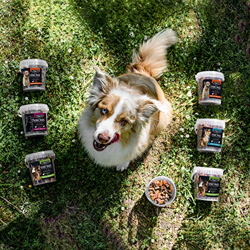 Pätso Hundeleckerli & Trainings- Hunde Snack Getreidefrei/Hunde Leckerlis (Lachs und Huhn (Soft Bone), 500 g)