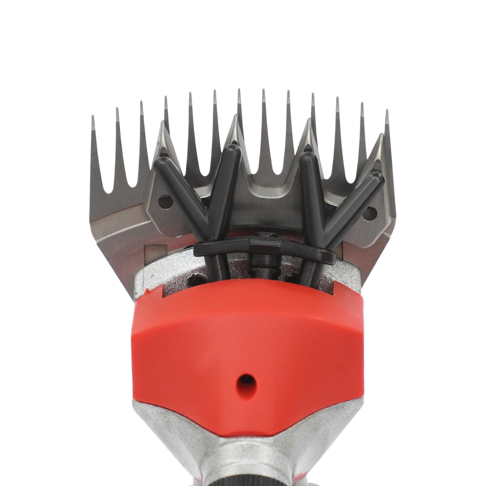 Cisaille électrique pour moutons 550 W avec batteries de 13000 mAh, ciseaux à moutons électriques professionnels sans fil, compatibles avec alpagas, animaux, moutons