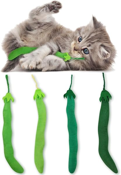 CiyvoLyeen Catnip Toys Kitten Interactive Toys