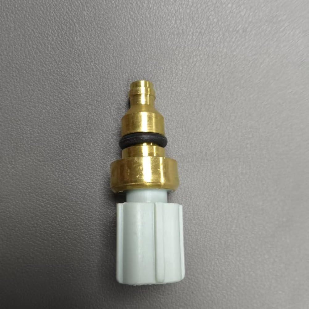 カール・ラーション、マッツ・ラーション、希少画集画、新品額装付