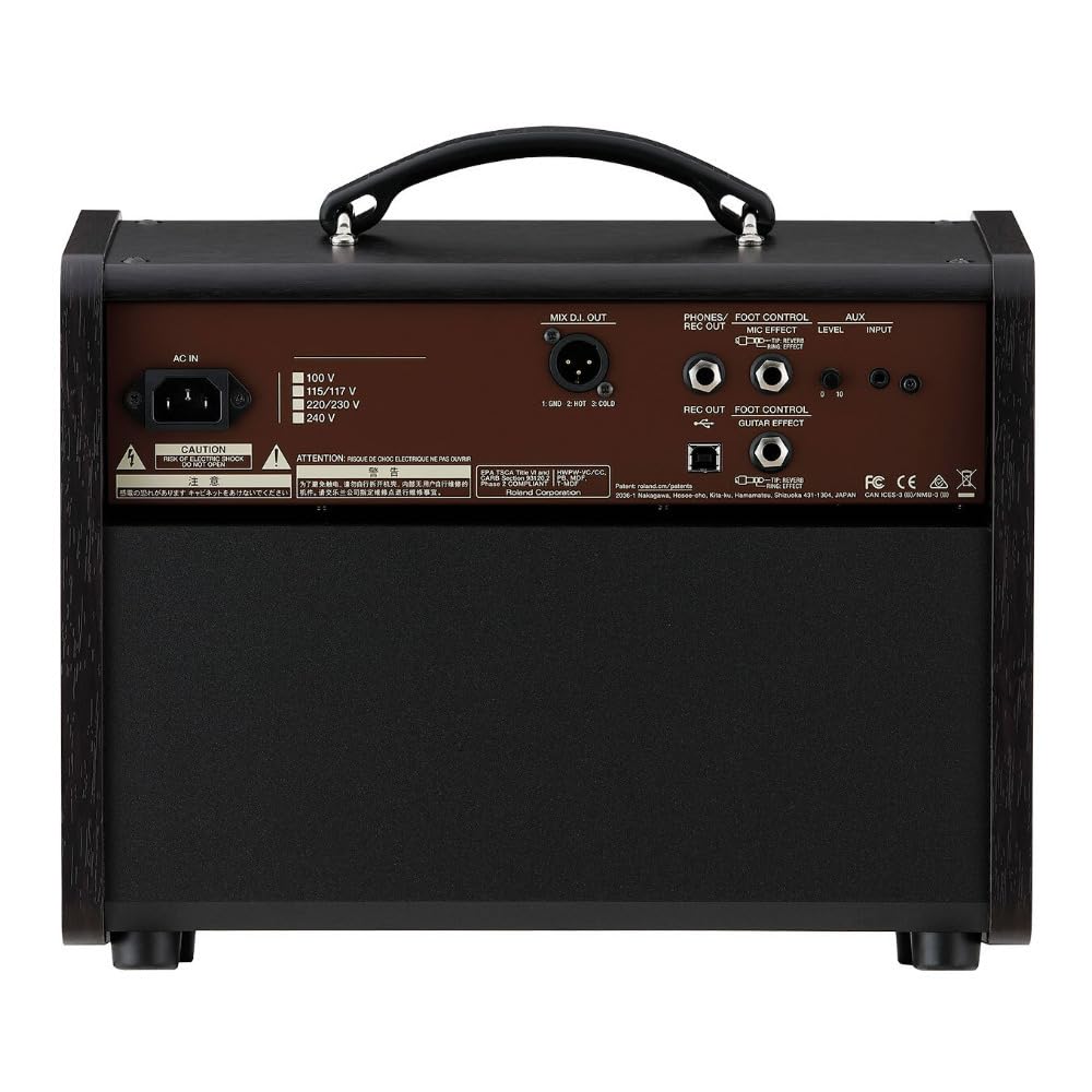 Amazon.com: BOSS Acoustic Singer Live LT Guitar Amp : Musical