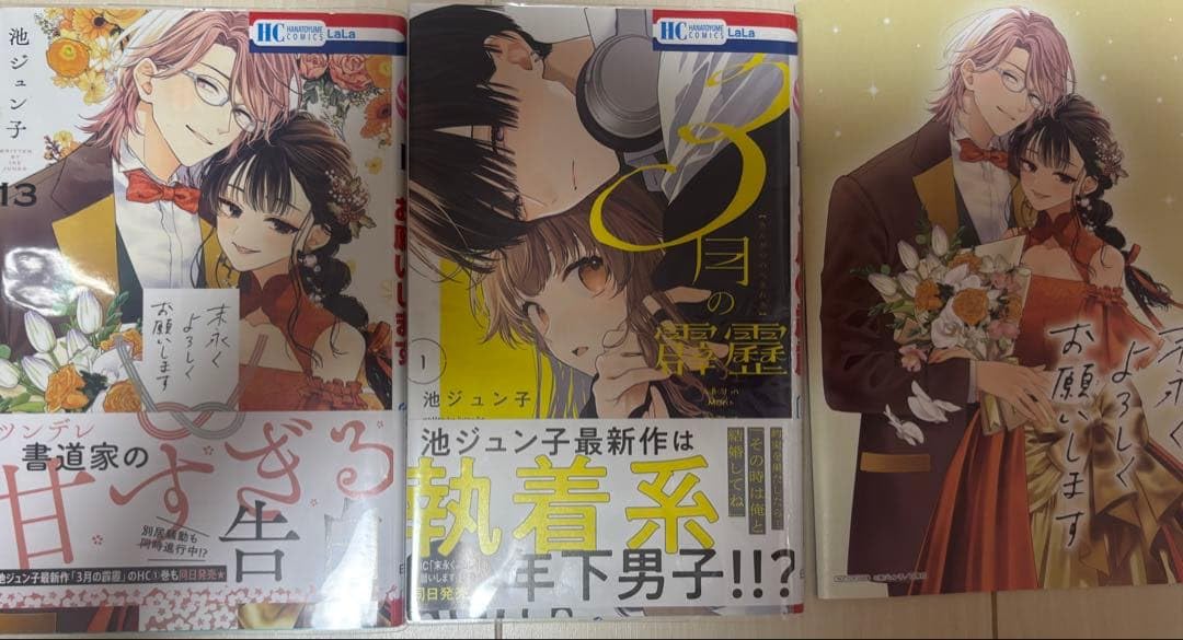 末永くよろしくお願いします13巻 3月の霹靂1巻 白泉社リーフレット 池ジュン子